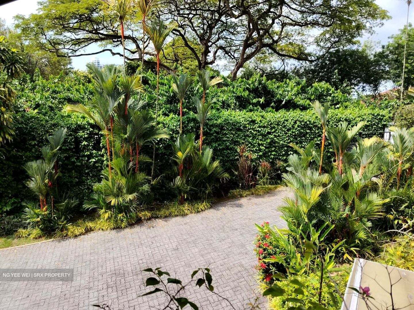 Bin Tong Park (D10), Detached #545980351